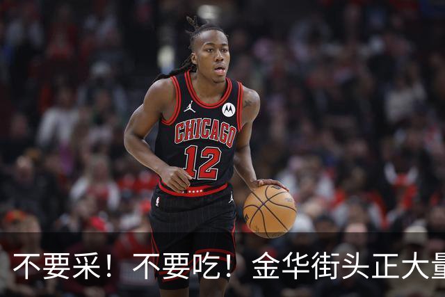 不要采！不要吃！金华街头正大量出现！