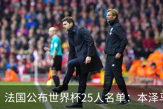 法国公布世界杯25人名单：本泽马姆巴佩领衔