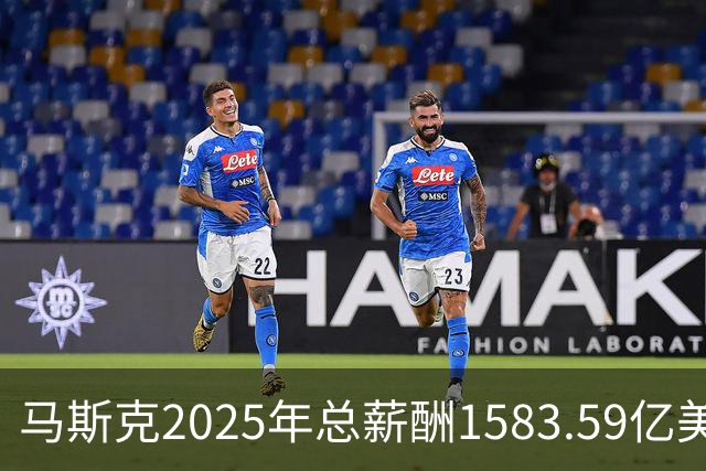 马斯克2025年总薪酬1583.59亿美元 全部以股票奖励形式发放